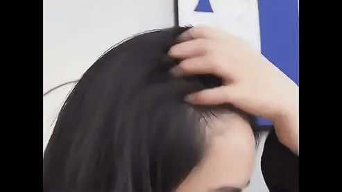 Natural Darkening Polygonum Hair Soap - Treviacart